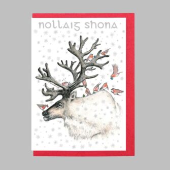 Nollaig Shona/Happy Christmas Reindeer with Robins Card
