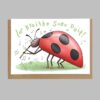 Ladybird Birthday card in Irish, Lá Breithe Sona Duit, cárta Gaeilge, Happy Birthday greeting card in irish