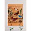 Vintage Butterfly Art