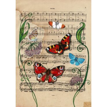 Butterflies and Music... 