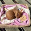 Needle Felting Workshop with Jenni Kilgallon
