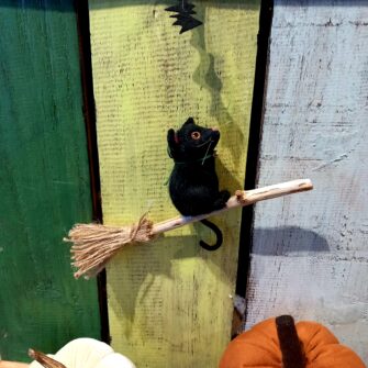 Needle Felting Workshop with Jenni Kilgallon
