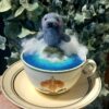Needle Felting Workshop with Jenni Kilgallon - Seal in Sea Cup
